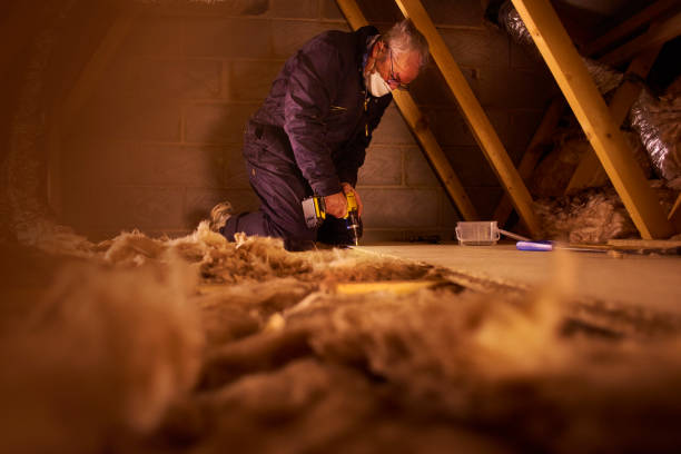 Best Blown-In Insulation  in Fife, WA